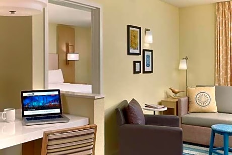 1 King Bed 1 Bedroom Suite