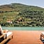 Torel Quinta da Vacaria - Douro Valley