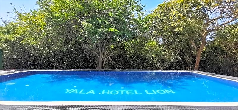 Yala Hotels Lion