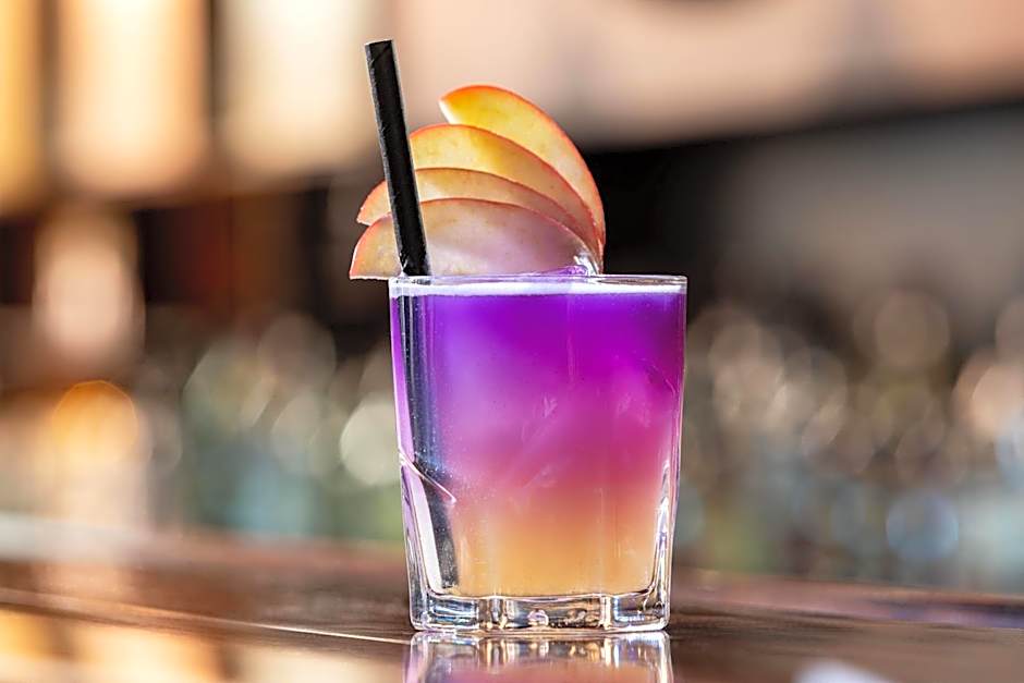 Sheraton Hannover Pelikan Hotel