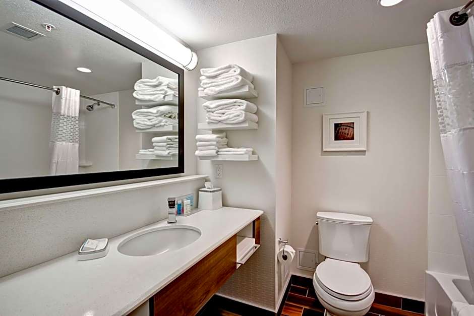 Hampton Inn By Hilton and Suites Medicine Hat, AB, Canada