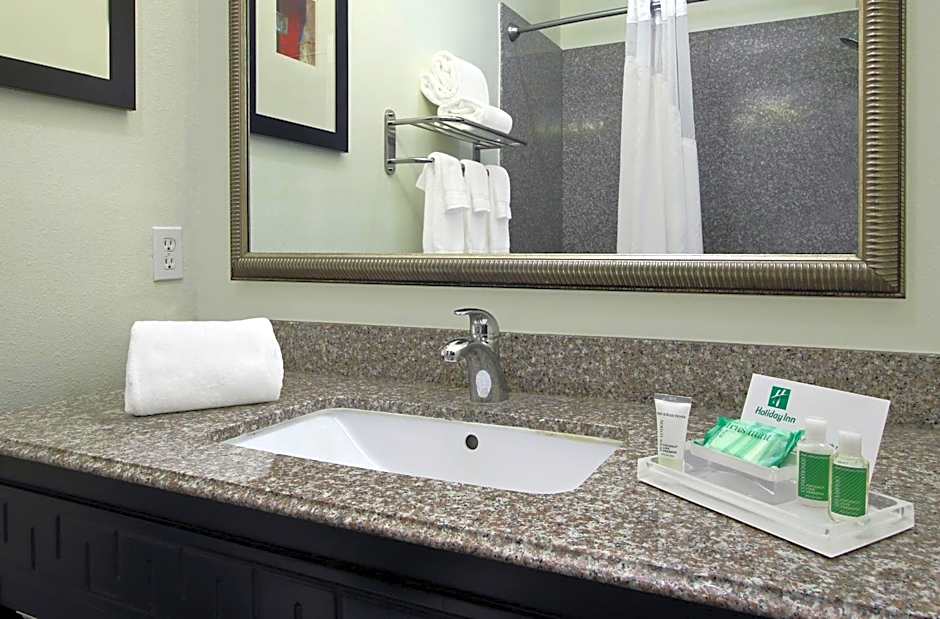 Holiday Inn Hammond Northshore By IHG