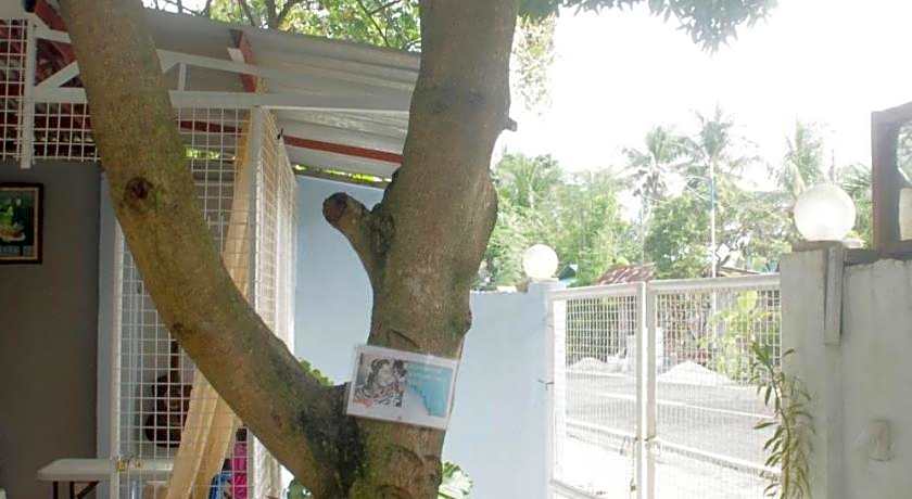 PEDZ CING MANGO LODGE