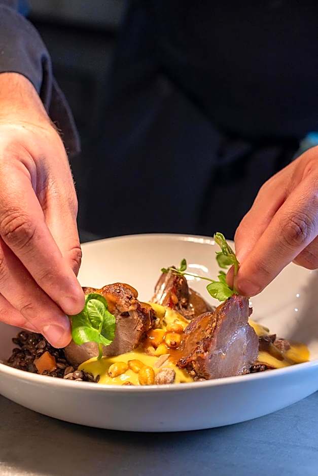 Hotel Spa Restaurant Villa Castellane