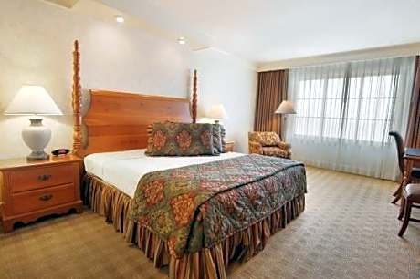 Double Room 2 Double Beds with View