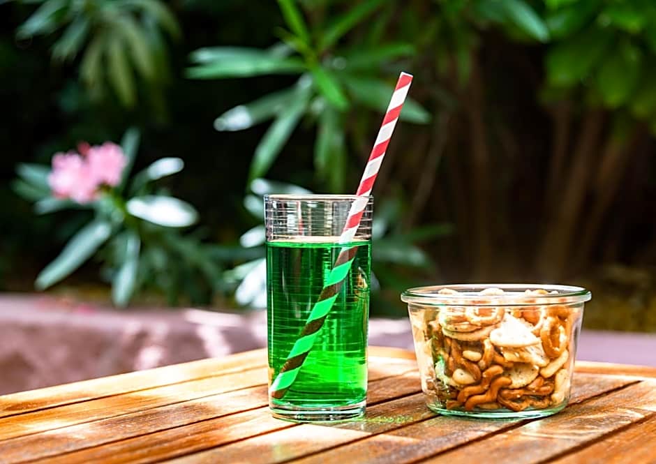 ibis Avignon Centre Pont de l Europe