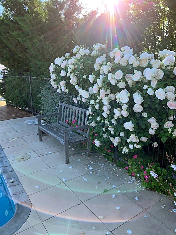 Amazing Views Pet Friendly Bed and Breakfast