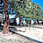 Saddle & Surrey Motel