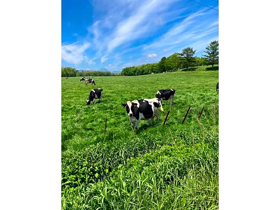 Mashuko Youth Hostel - Vacation STAY 01026v