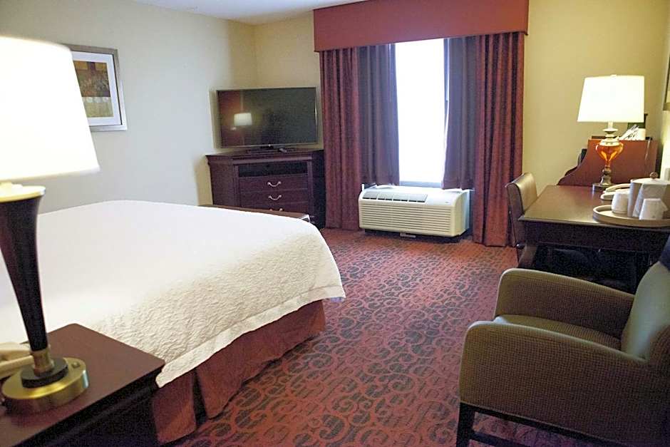 Hampton Inn By Hilton Rochester-Webster