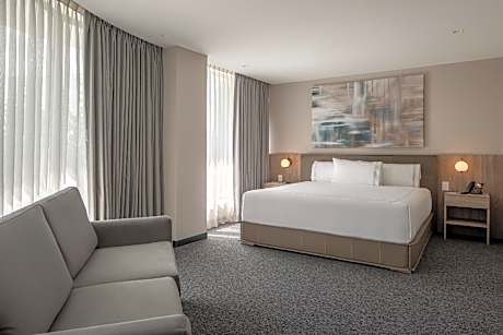 Suite with King Bed