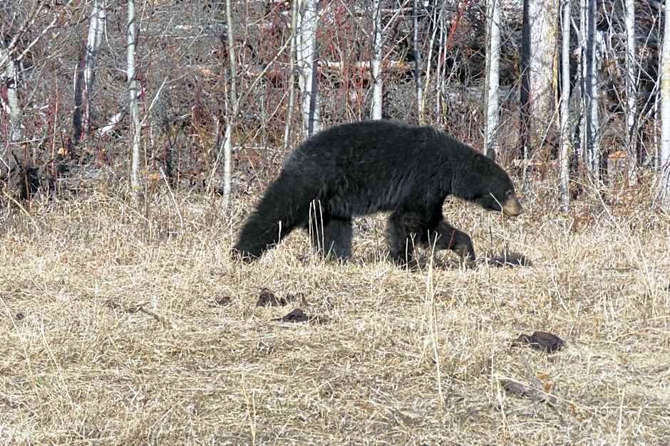 Historic Hotel Bayview