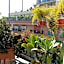 Ariston Petit Hotel