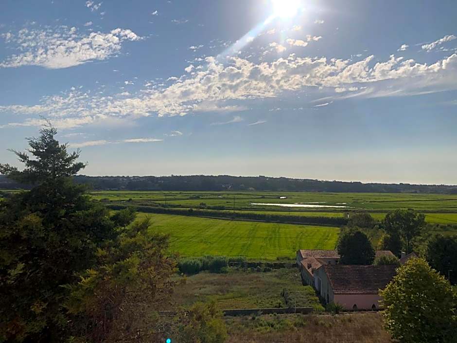 Palace Hotel & SPA Termas do Bicanho