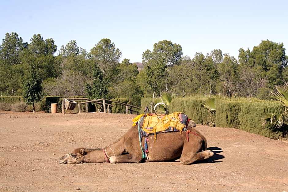 Terres d'Amanar