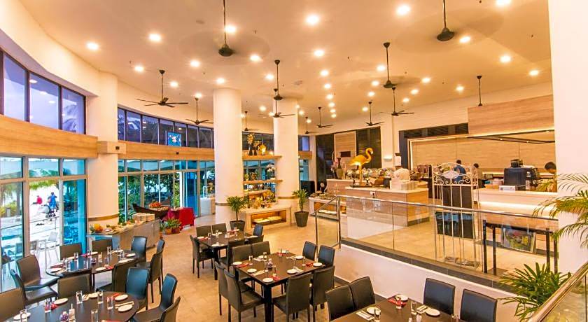 Flamingo By The Beach