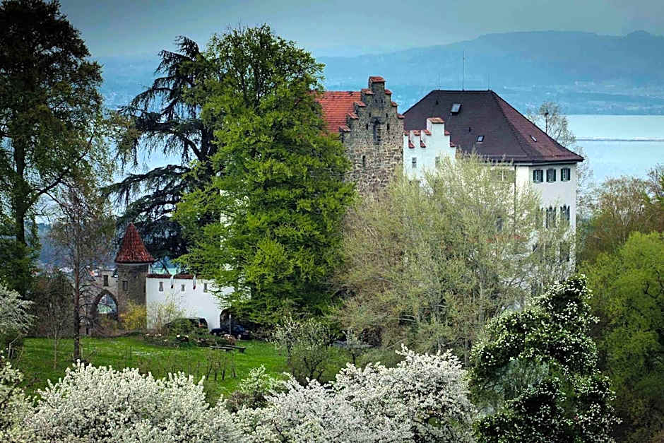 Schloss Wartensee