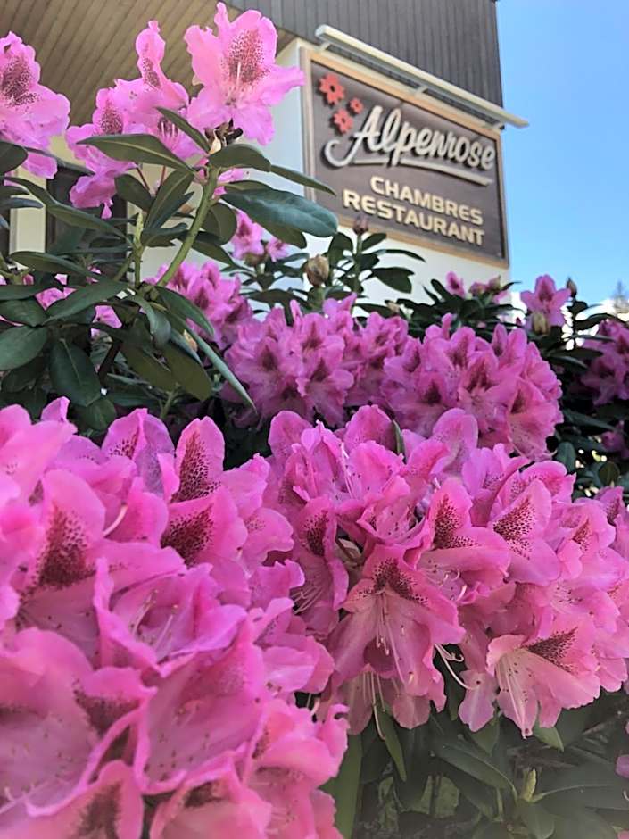 Alpenrose Chamonix
