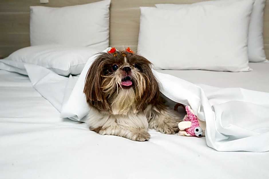 Transamerica Fit Villa Lobos