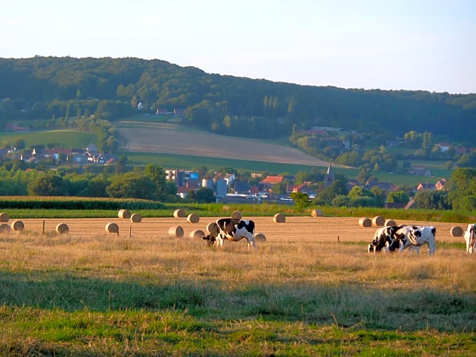 Entre monts et collines B&B et spa en option