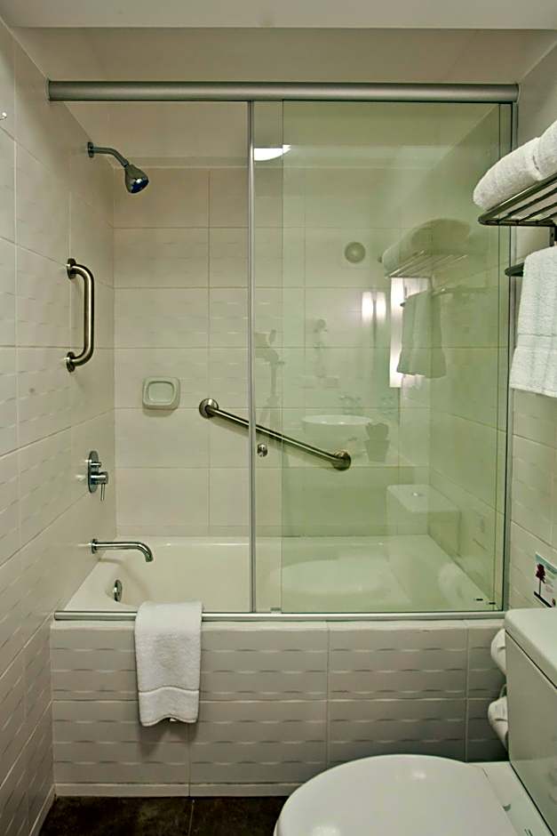 Tierra Viva Miraflores Larco