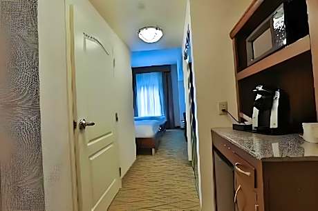1 King Accessible Room with Bathtub