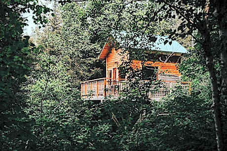 Superior Tree House