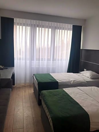 Deluxe Double or Twin Room with City View