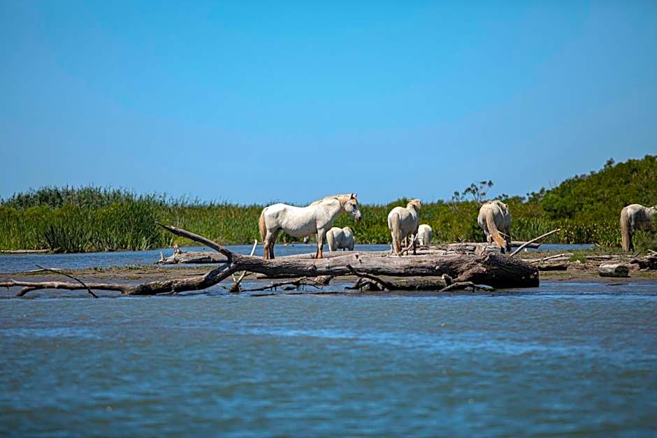 Mas de la Fouque - Hôtel & Spa