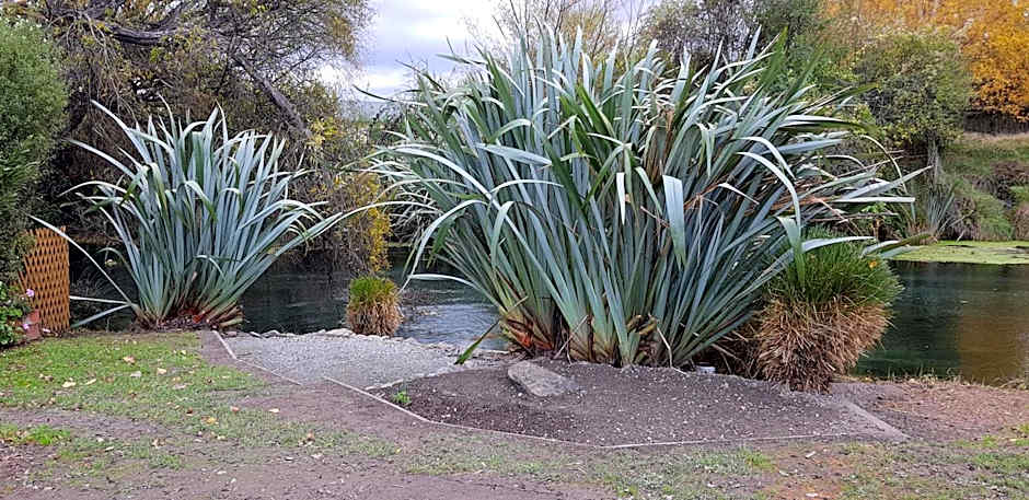 Spring Creek Holiday Park