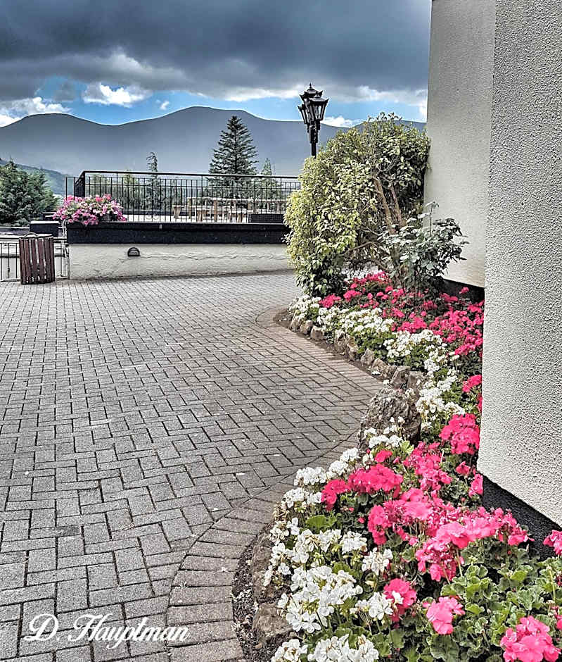 Aherlow House Hotel & Lodges