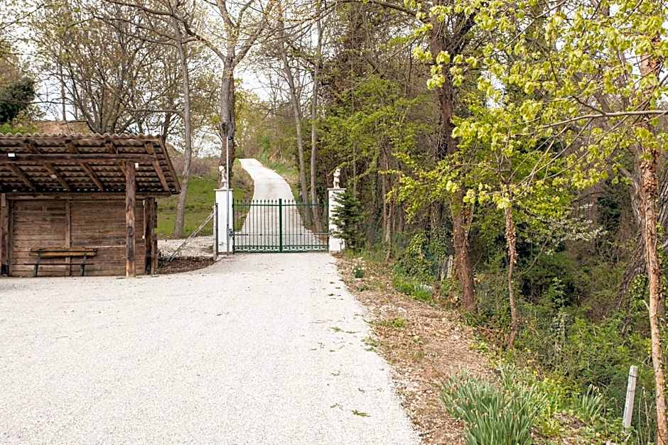 AMERICA NEI BOSCHI B&B