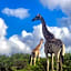ParkView Safari Lodge