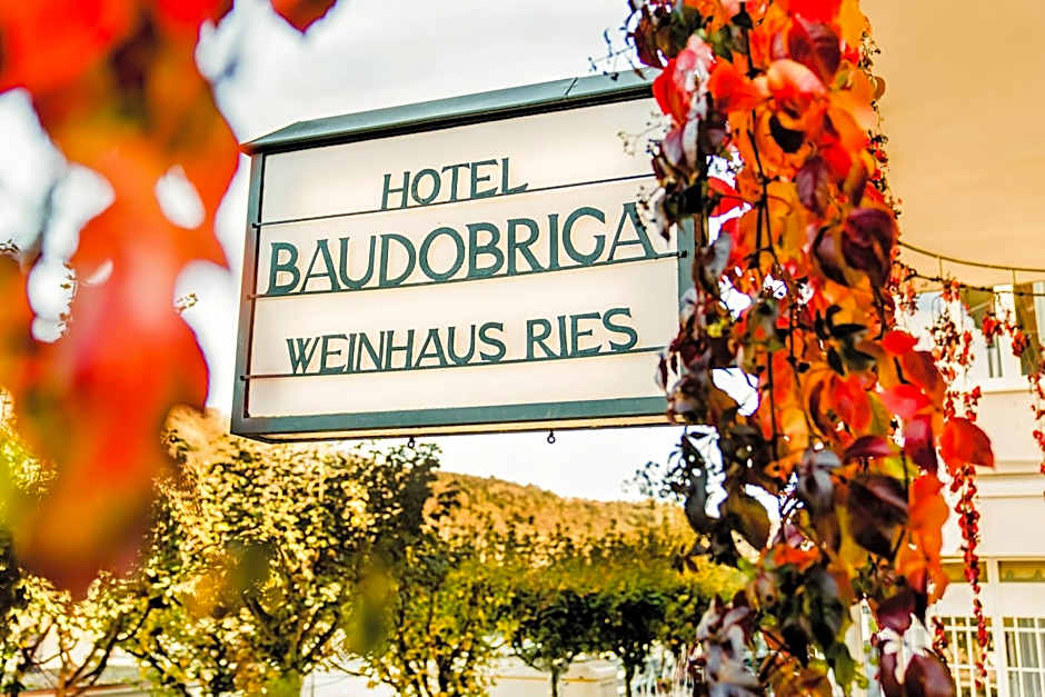Baudobriga Rheinhotel