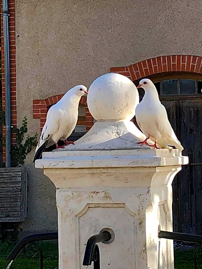 Le manoir de la Source au bord de l'EuroVélo 6