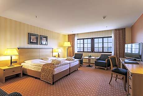 Superior Double Room with Elbe view