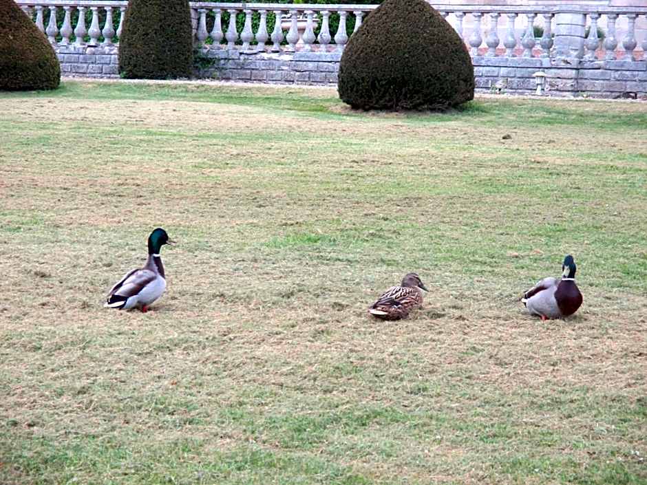 Château des Monthairons Hôtel Restaurant GastroMaison Spa privatif