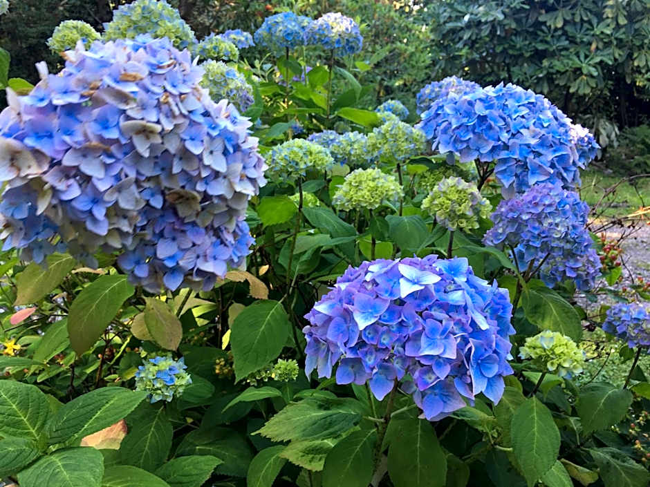 Stonefield Castle Hotel 'A Bespoke Hotel'