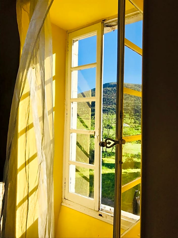 Domaine Mas Pigné
