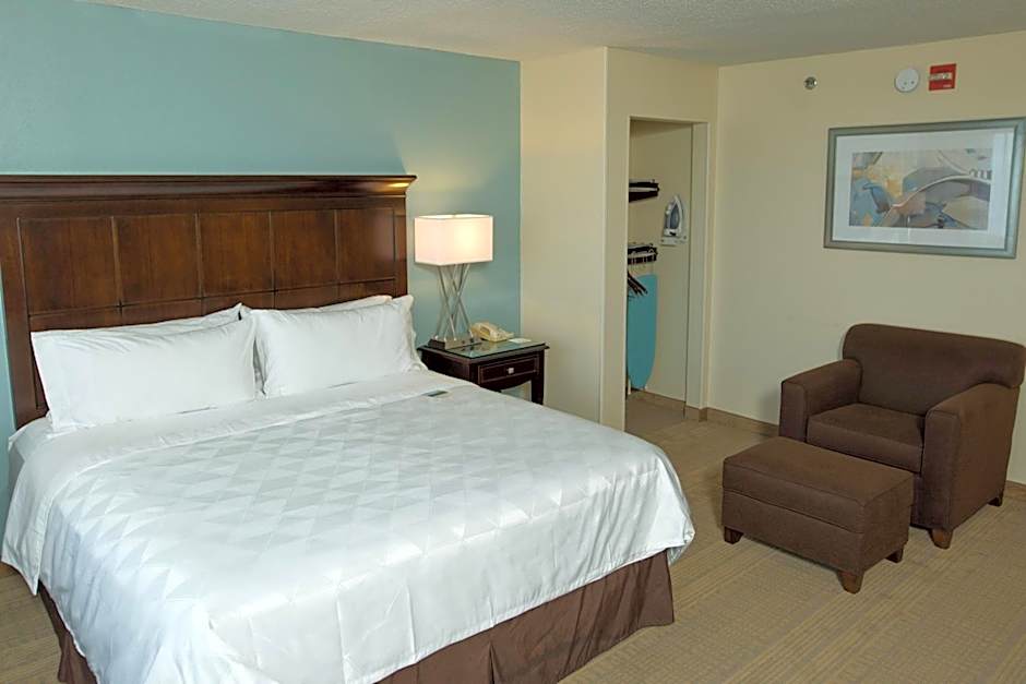 Holiday Inn Birmingham Airport By IHG