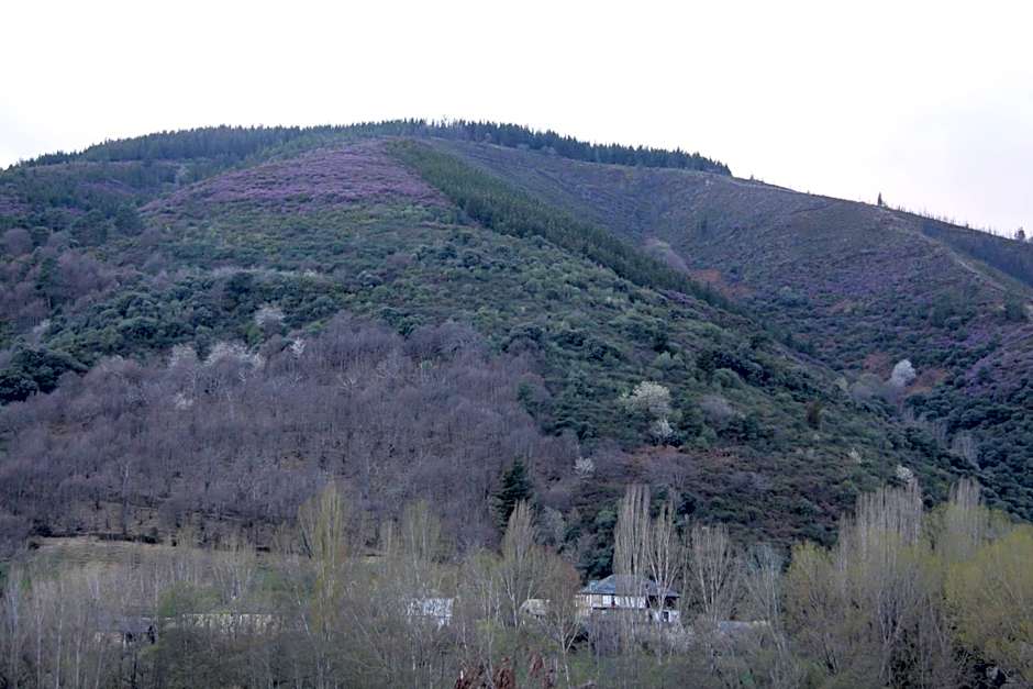 Venecia Bed&Breakfast