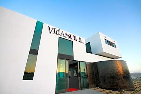 Vidasoul
