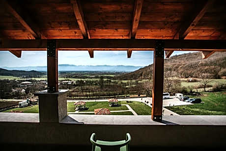 Superior Double or Twin Room with Terrace