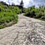Blue Mountain Lodge Kundasang
