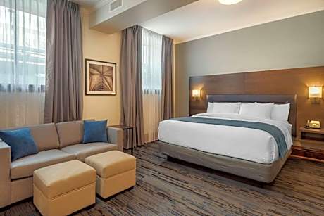 King Room - Accessible/Non-Smoking