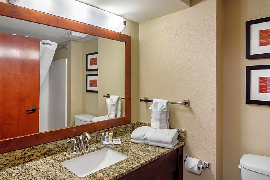 Comfort Inn & Suites Lagrange