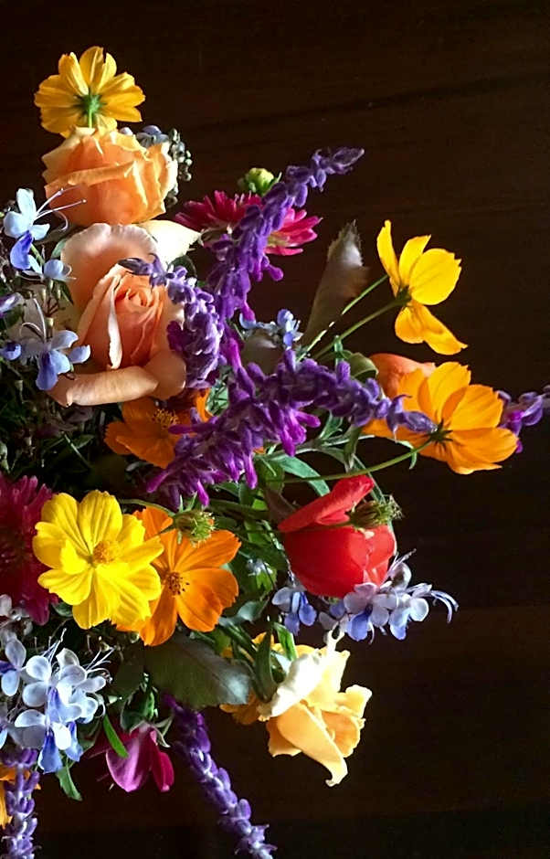 Mudgee Homestead Guesthouse