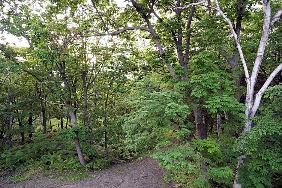 ARtINn 極寒藝術伝染装置