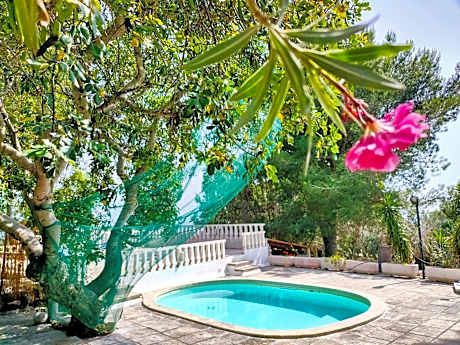 Residence Mariposa - Apartments & Rooms