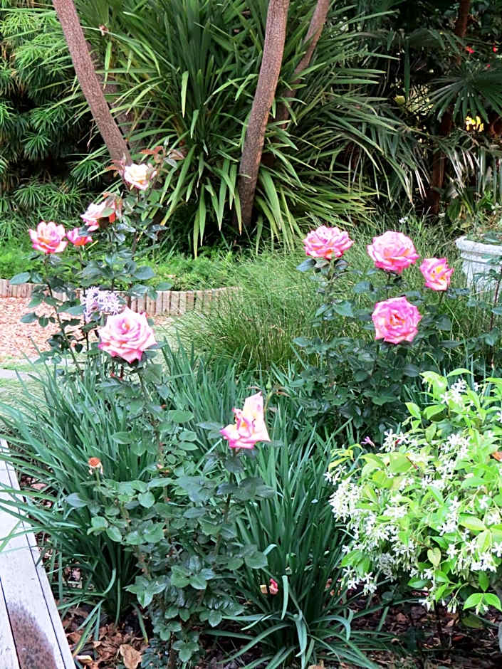 Maison Chablis Guest House